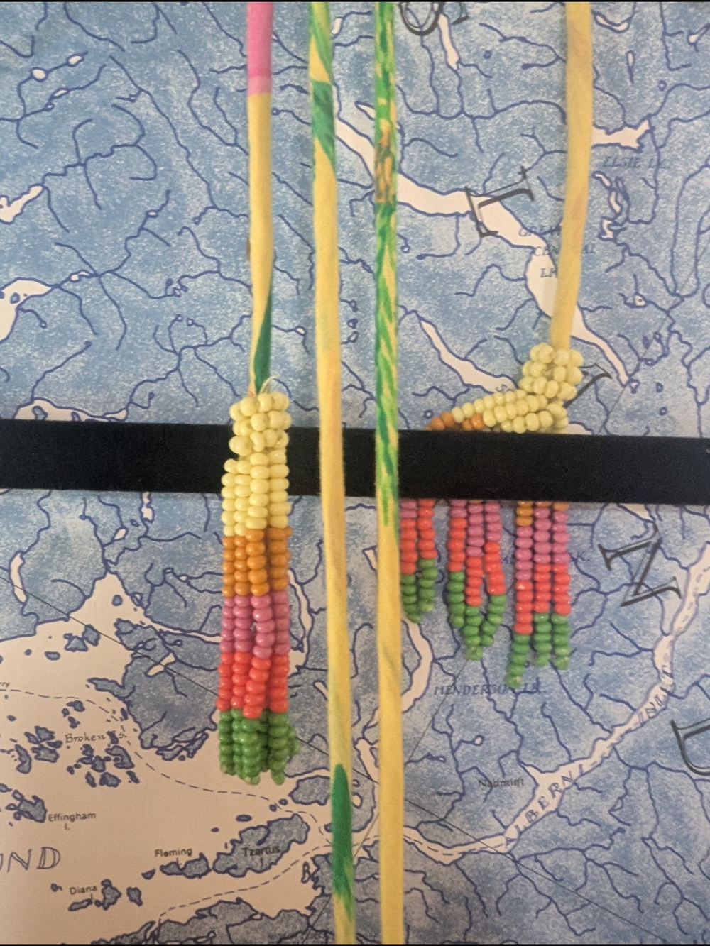 Farm Rio Fruit Halter - Picture 4 of 6